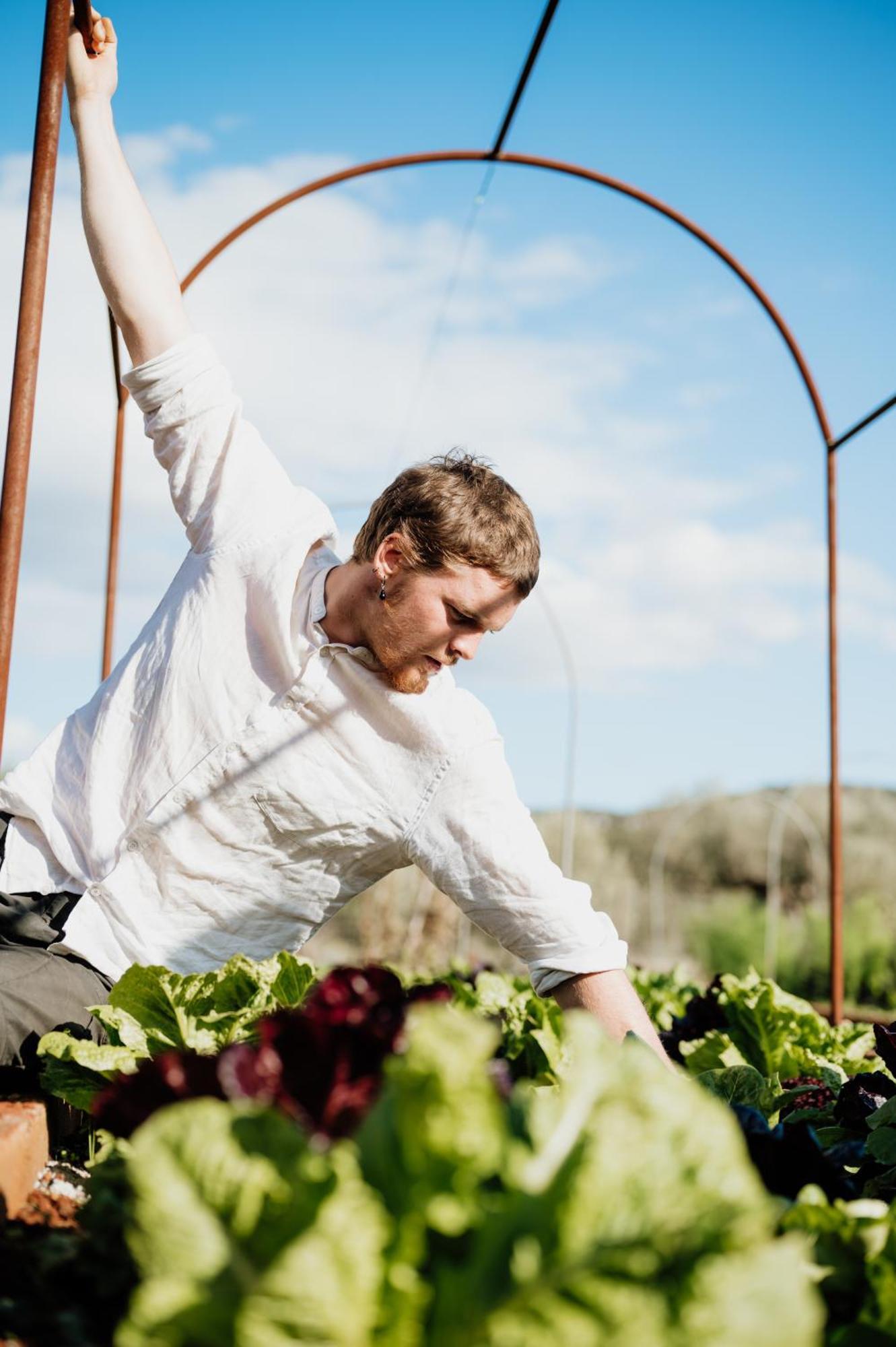 Eumelia Organic Agrotourism Farm Hotel Goúvai Eksteriør billede