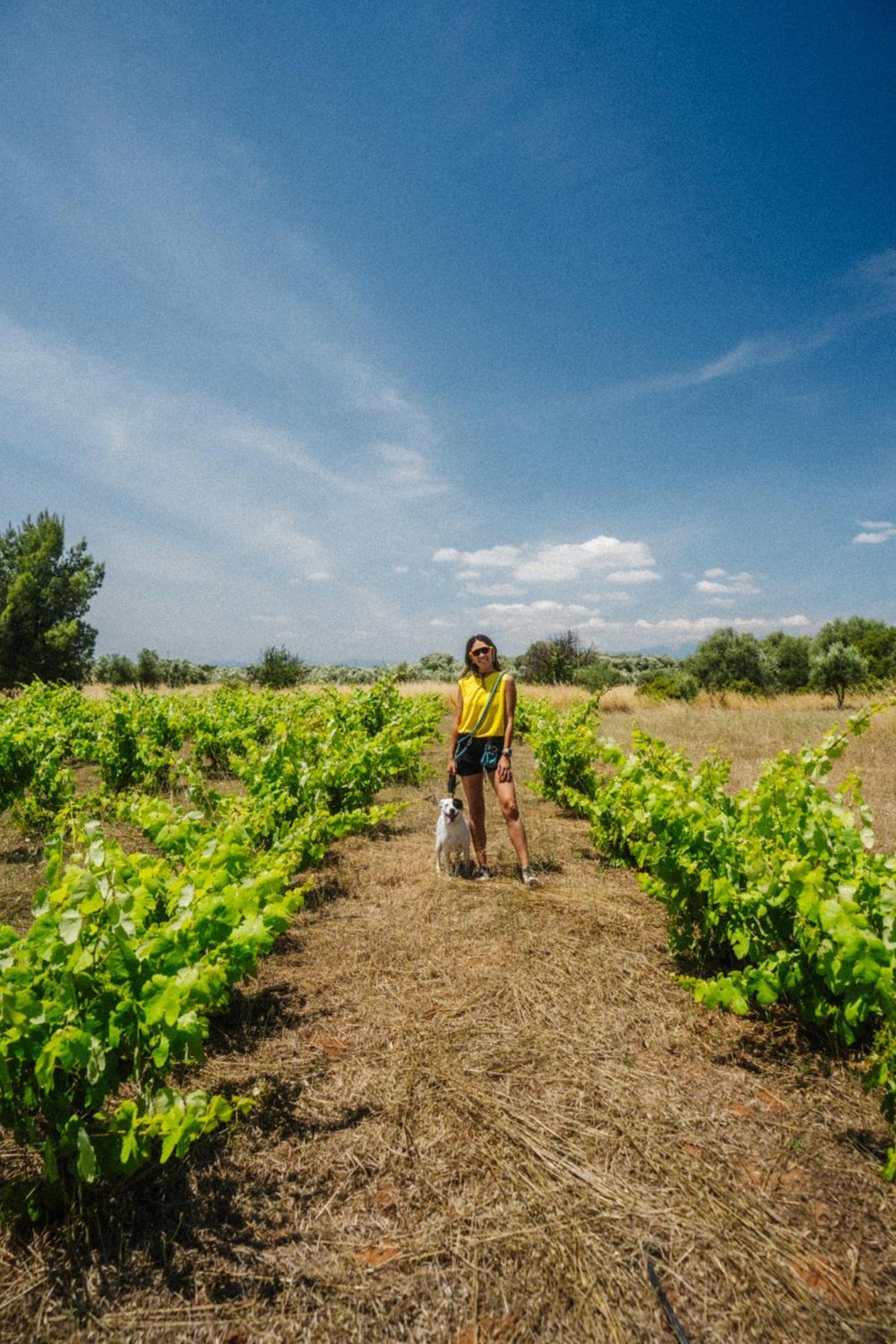 Eumelia Organic Agrotourism Farm Hotel Goúvai Eksteriør billede